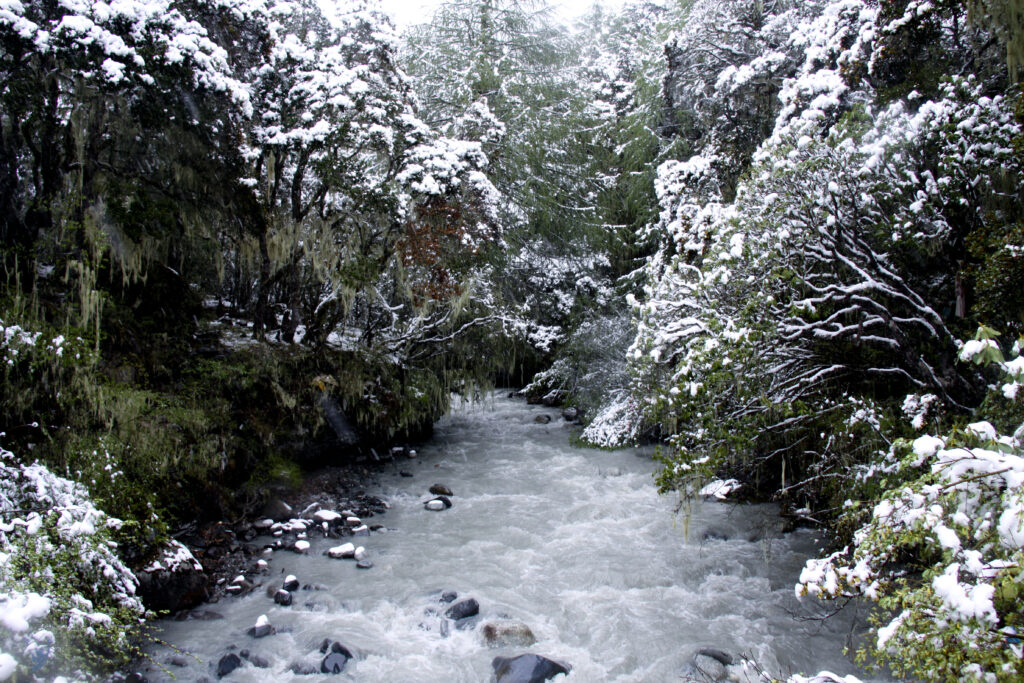 Pristine high-altitude mountains where Himalayan incense herbs are sourced sustainably.