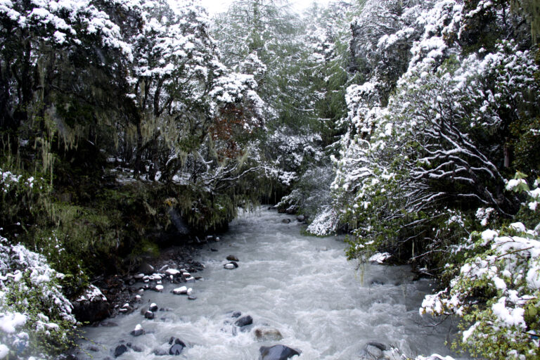 Pristine high-altitude mountains where Himalayan incense herbs are sourced sustainably.